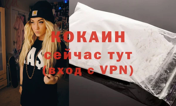 индика Осташков