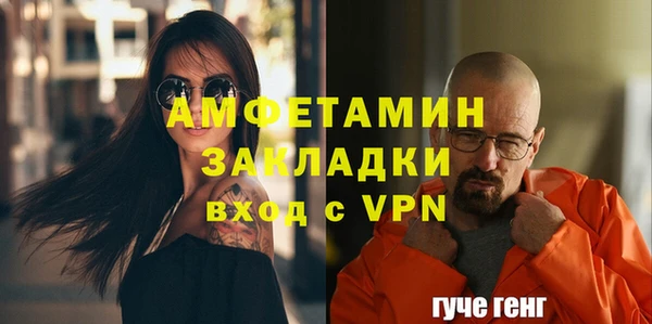 МДПВ Пересвет