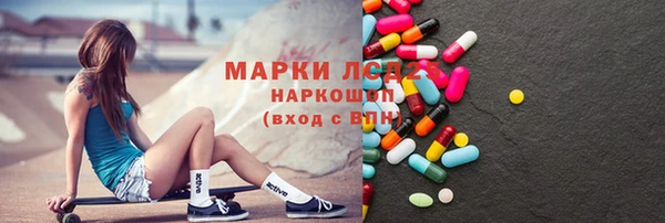 МДПВ Пересвет