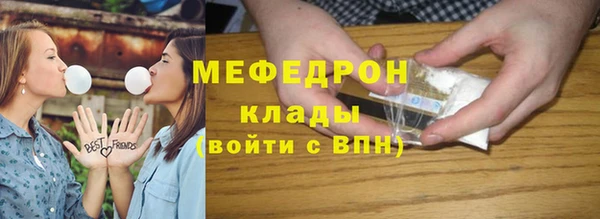 индика Осташков