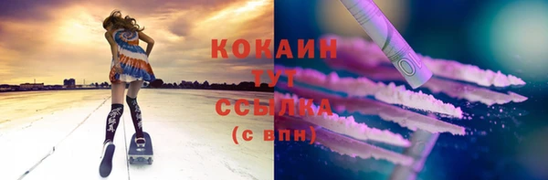 индика Осташков