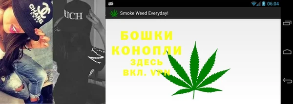 эйфоретик Осинники