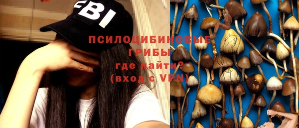 стафф Пестово
