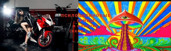индика Осташков