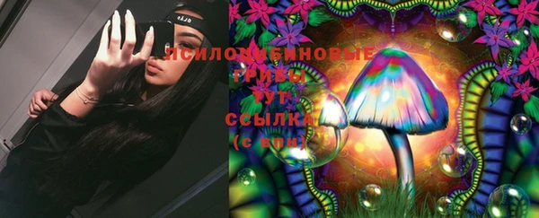 эйфоретик Осинники