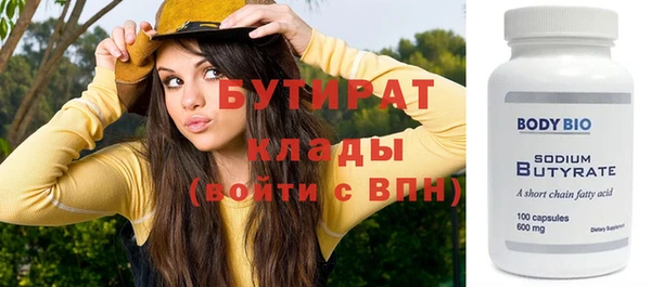 МДПВ Пересвет
