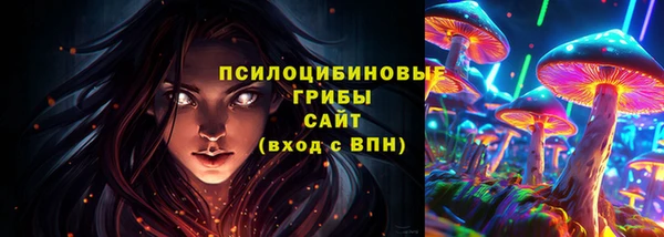 эйфоретик Осинники