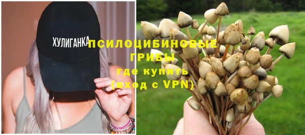 стафф Пестово