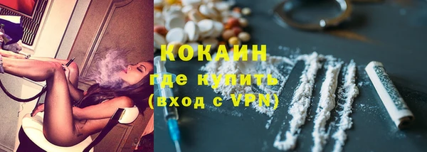 МДПВ Пересвет