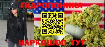 шишки Гусев