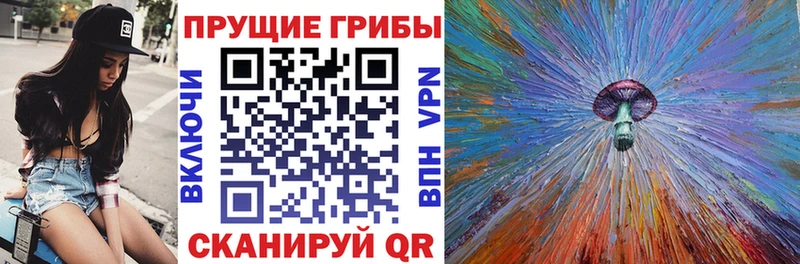 Псилоцибиновые грибы Psilocybe  где продают   Ржев 