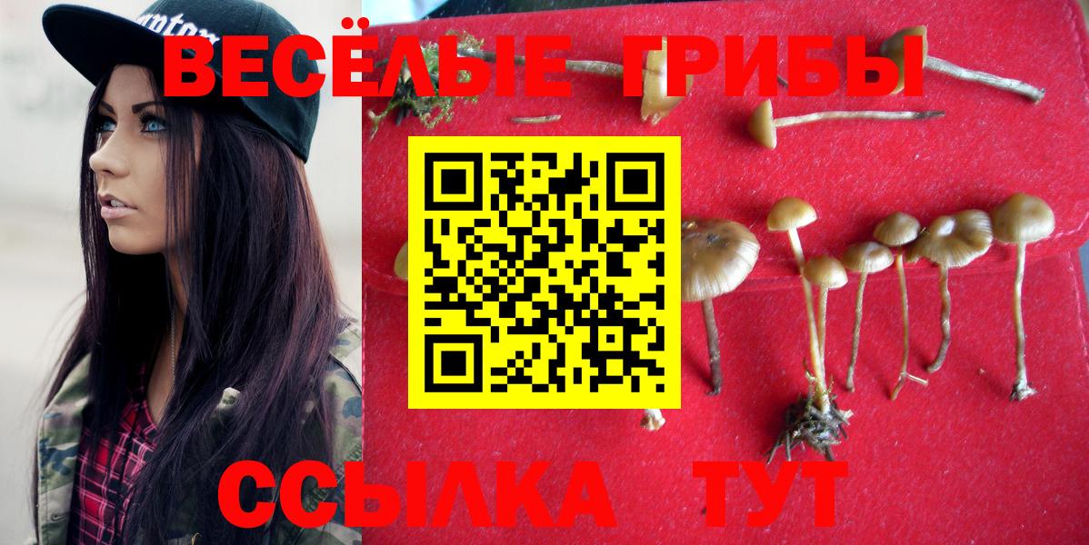 Псилоцибиновые грибы мицелий Ржев