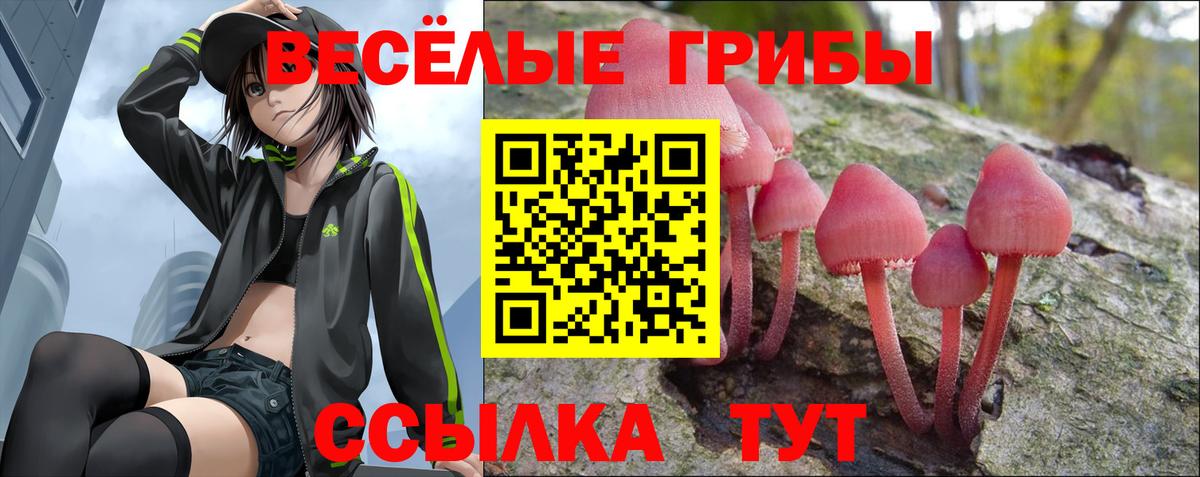 Псилоцибиновые грибы Cubensis  Псилоцибиновые грибы Magic Shrooms  Ржев  Вход с VPN 