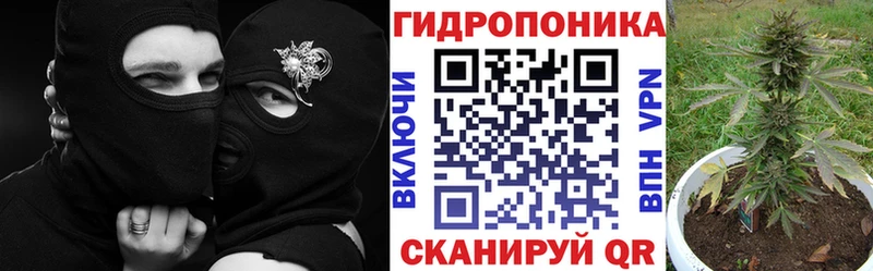 Бошки Шишки VHQ  hydra сайт  Ржев 
