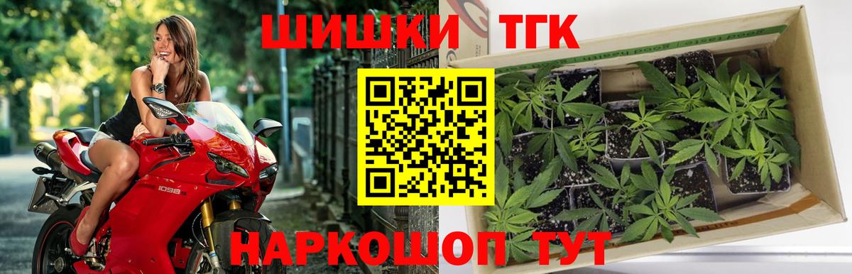 МАРИХУАНА VHQ  Вход с VPN  Ржев  МАРИХУАНА индика  Каннабис планчик  МАРИХУАНА семена 